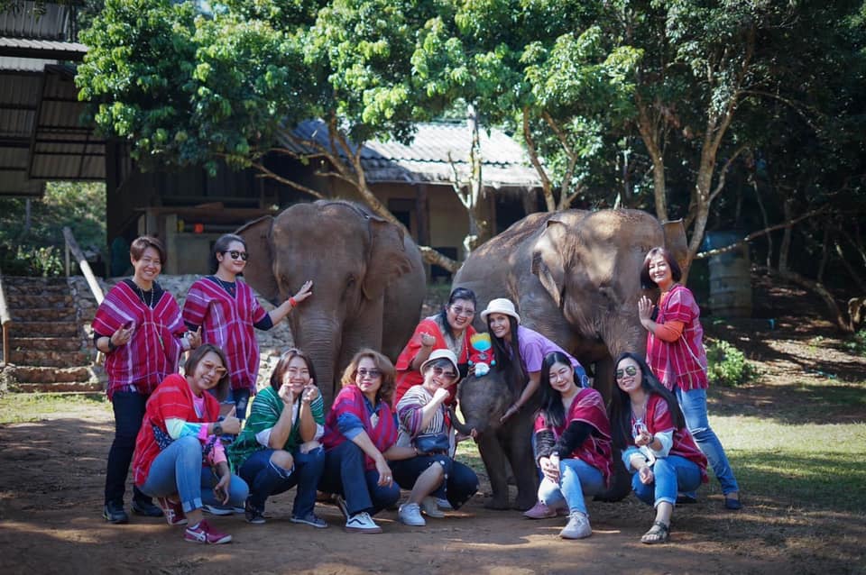 Patara Elephant Farm