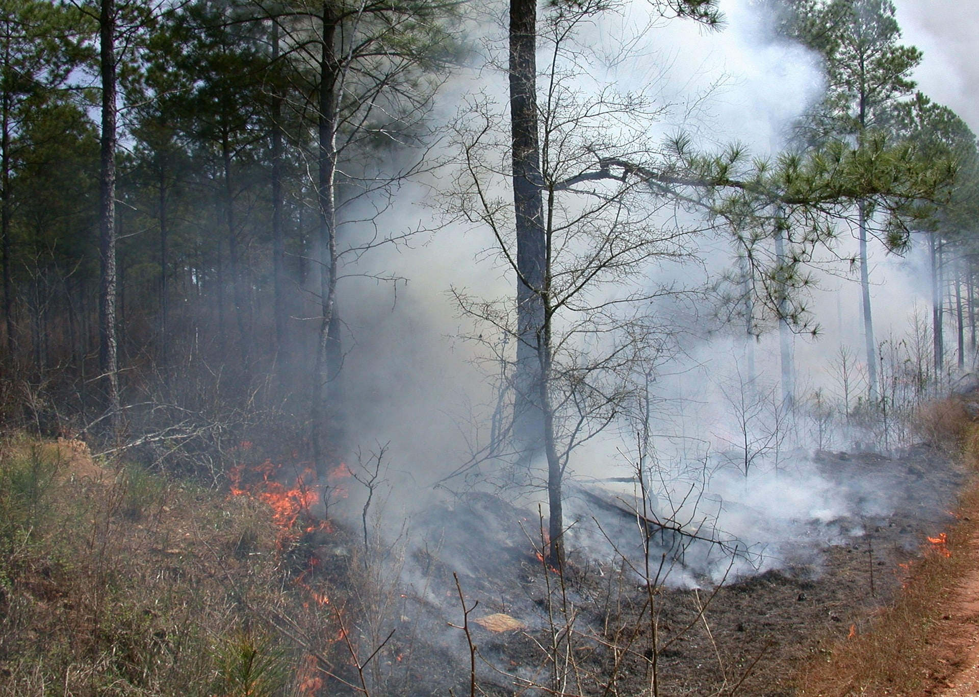 Slash and Burn Agriculture practise in Chiang Mai