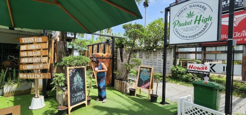5 Best Cannabis Shops in Phuket - 2023 Traveller’s Guide