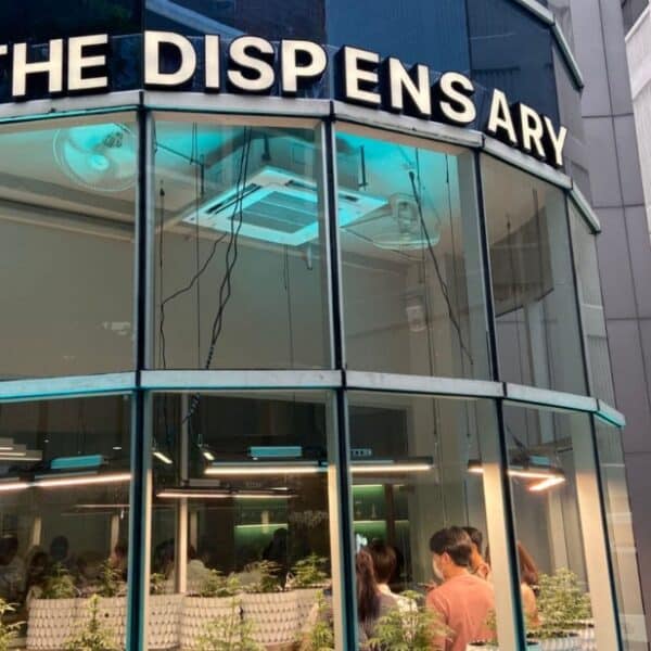 7 Best Cannabis Dispensaries In Bangkok – 2023 Guide