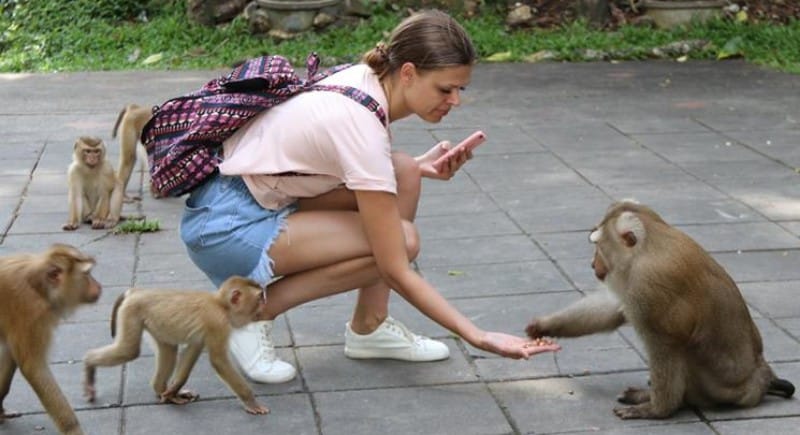 (Photo Credits: The Phuket New)