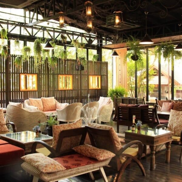 6 Amazing Tea Shops In Chiang Mai – 2023 Guide
