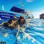 Best Diving Schools in Koh Tao - 2023 Review