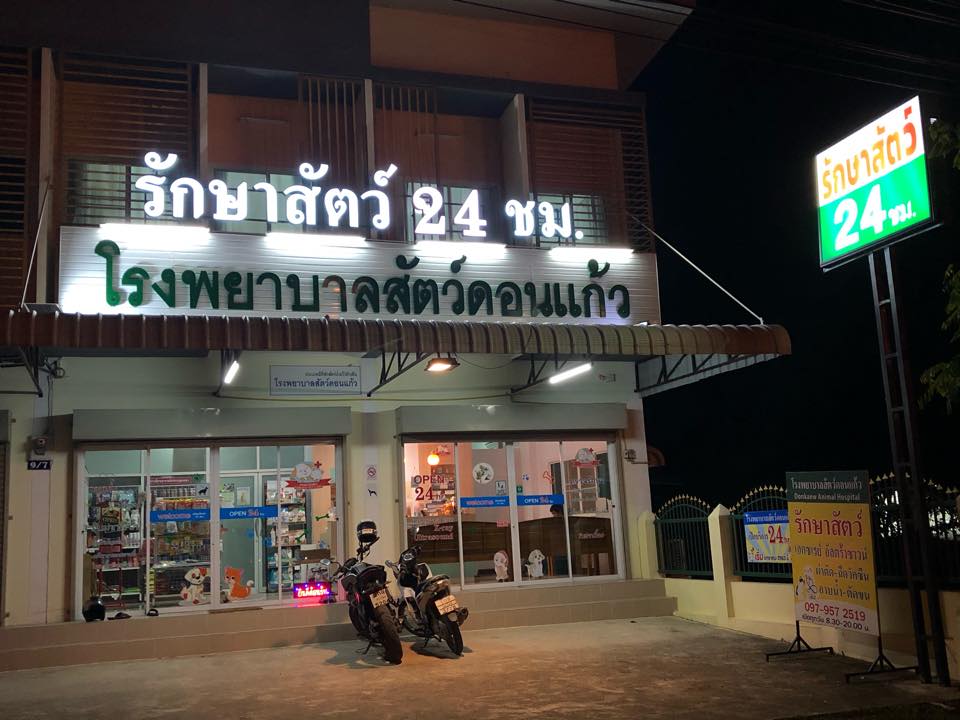 Don Kaew Animal Hospital, Chiang Mai serving the animals round the clock