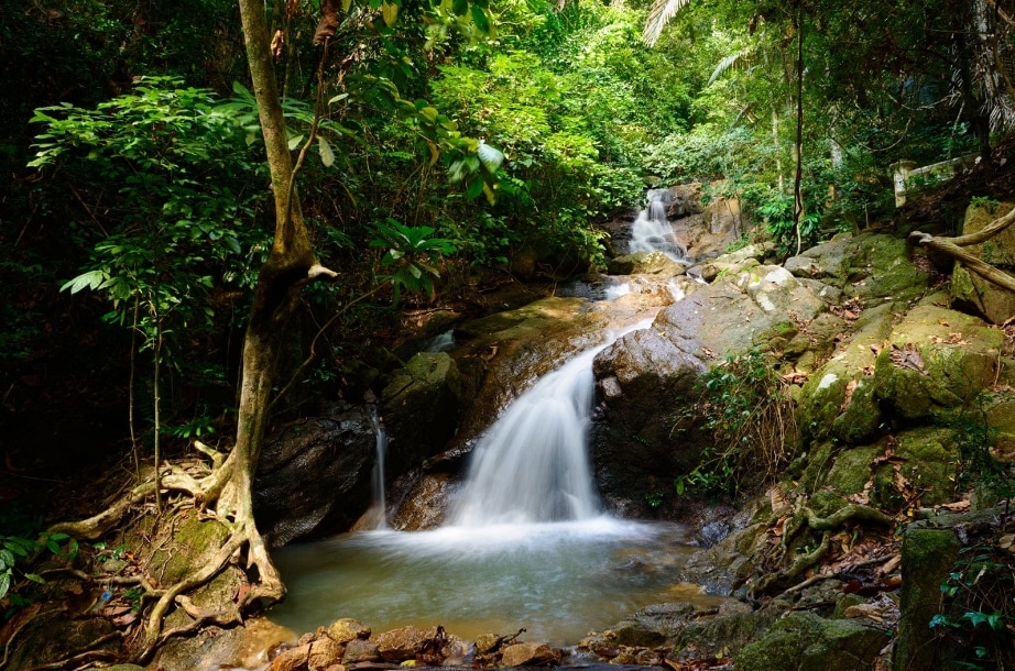 The Best 5 Waterfalls in Phuket