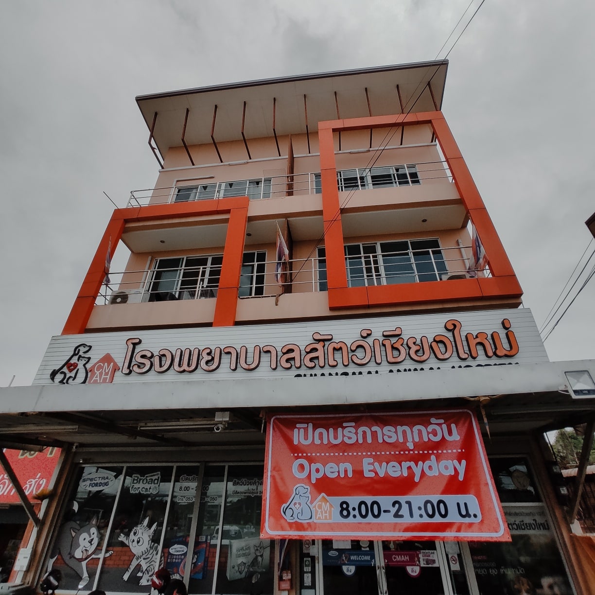 The Chiang Mai Animal Hospital