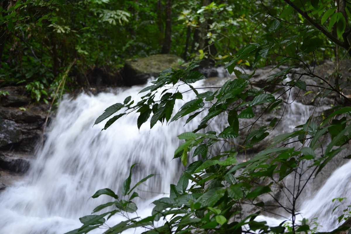 Water flowing at its best speed in the Tonsai waterfall