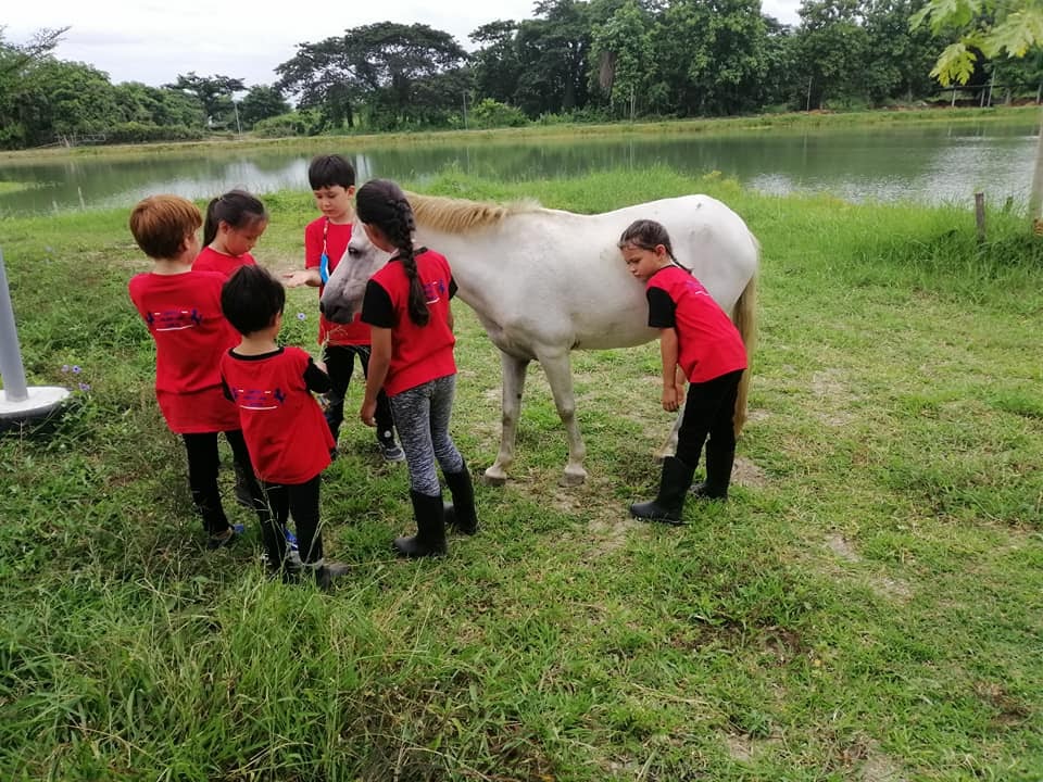An ongoing junior riding program at Equestrian Education Center