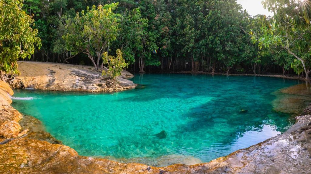 The Emerald Pool in Krabi