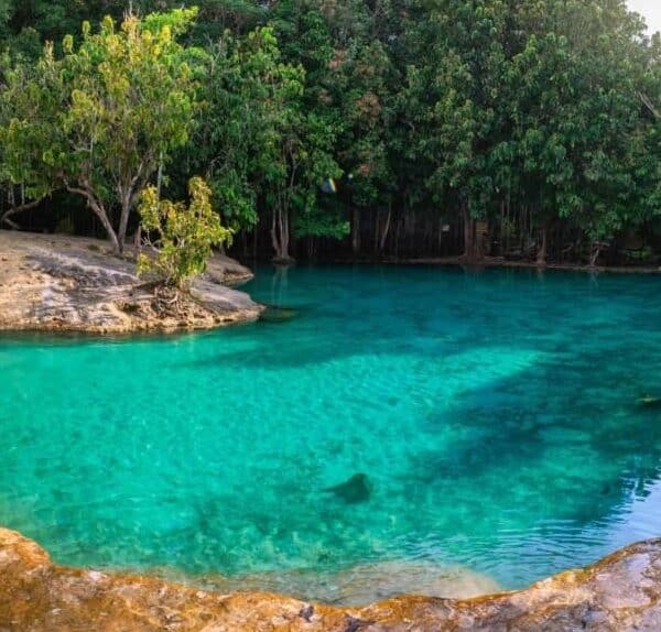Emerald Pool in Krabi – 2023 Guide