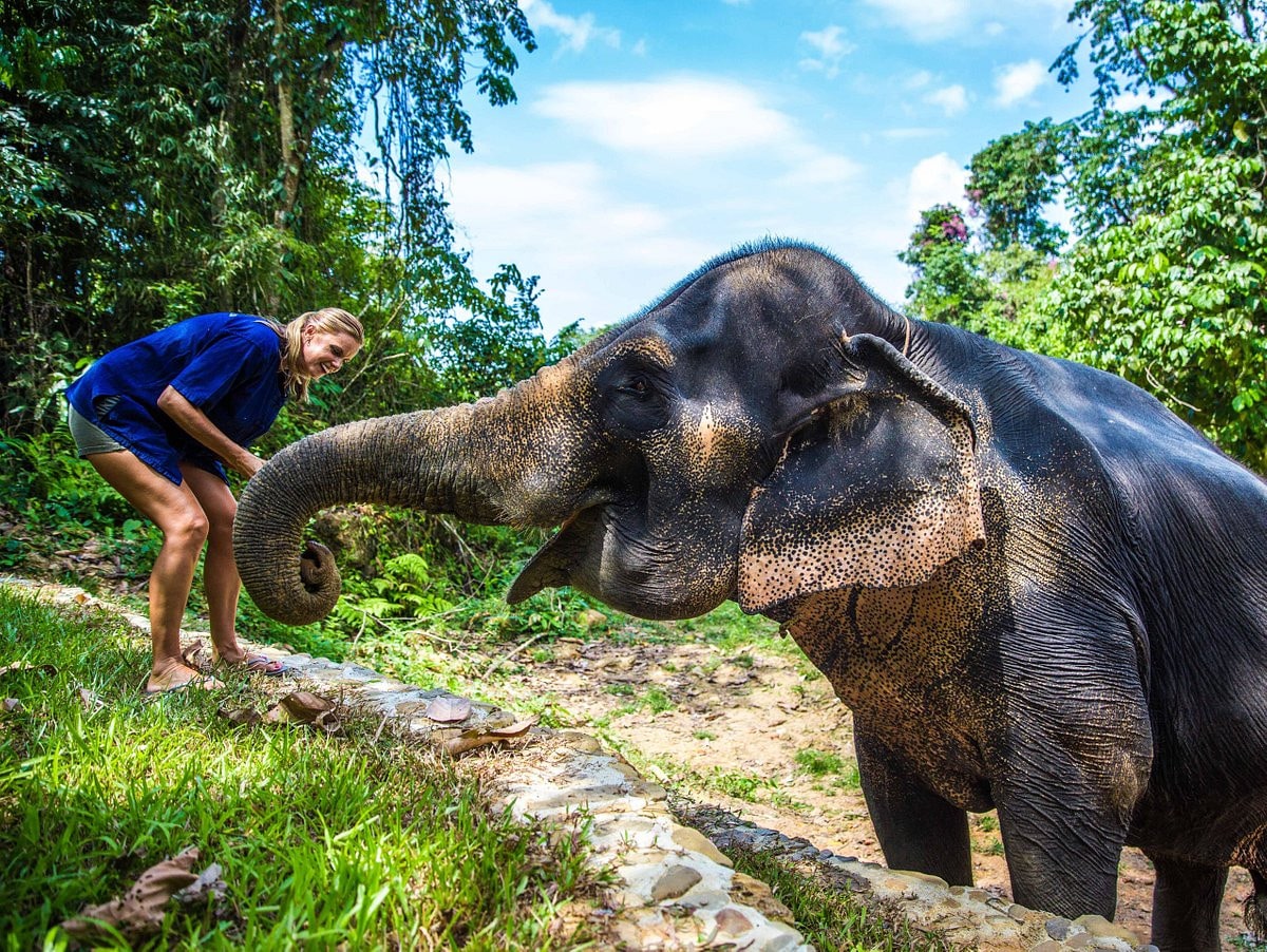 Playing at Phang Nga Elephant Sanctuary