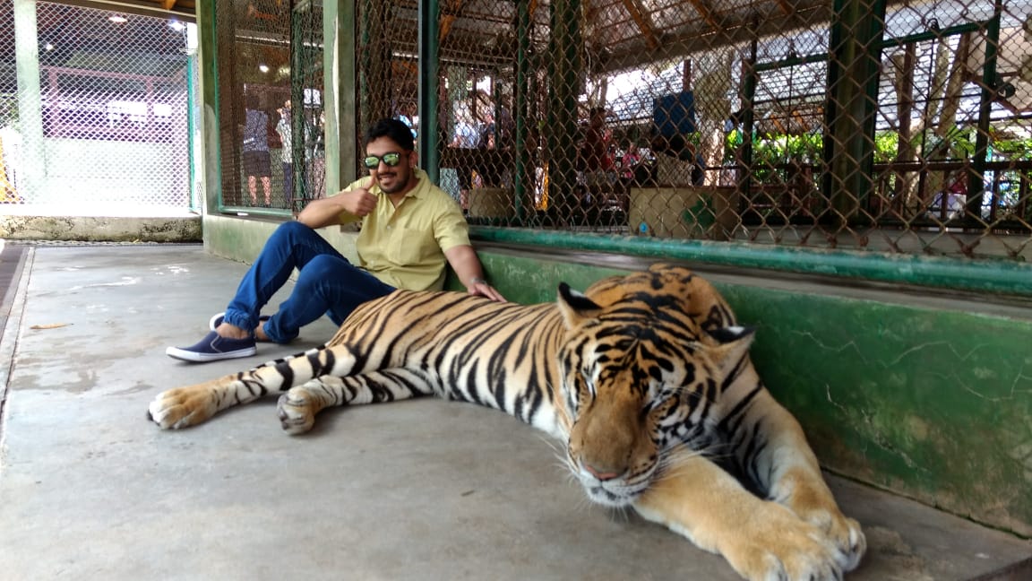 Tiger Kingdom Phuket - 2023 Traveller's guide Tiger Kingdom Phuket - 2023 Traveller's guide