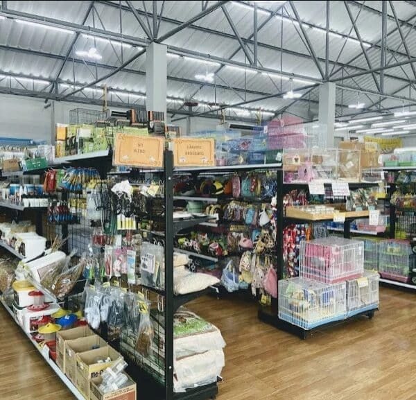 Reliable Pet Shops in Chiang Mai – 2023 Guide