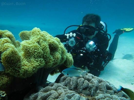 The Ace Marine Expedition Diving School in Koh Tao