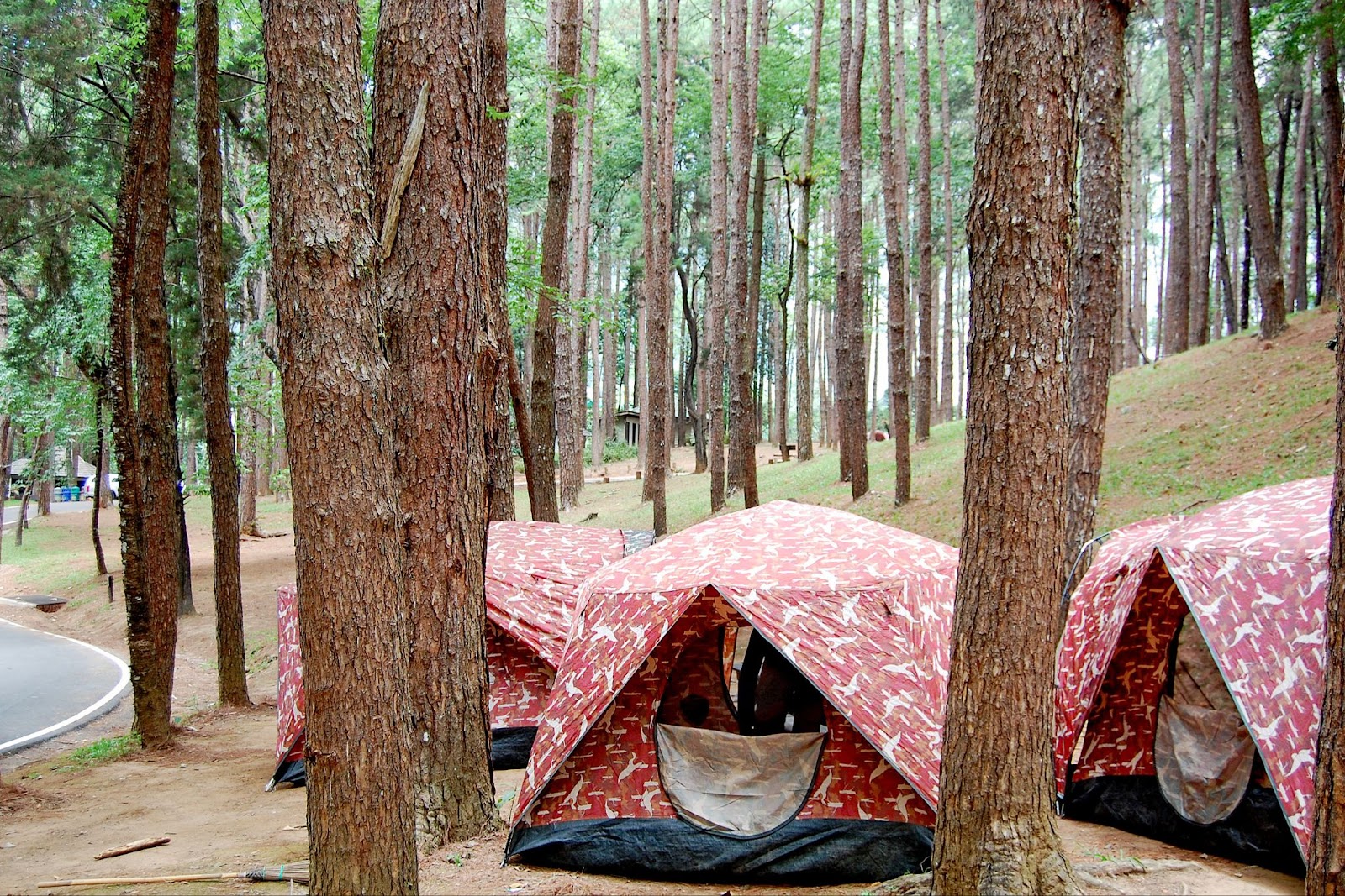 Camping tents at the Doi Inthanon National Park