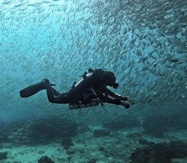 Diving in Koh Tao: 2023 Traveller’s Guide