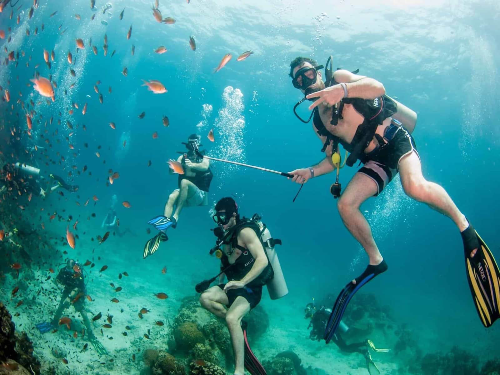 Diving in Koh Tao