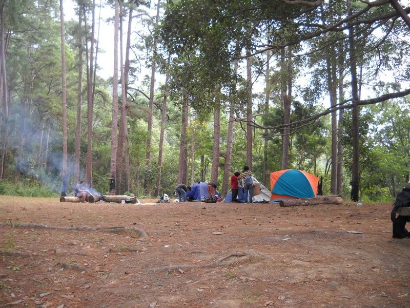 Woods being set up for a bonfire at camps in Doi Khun Tan