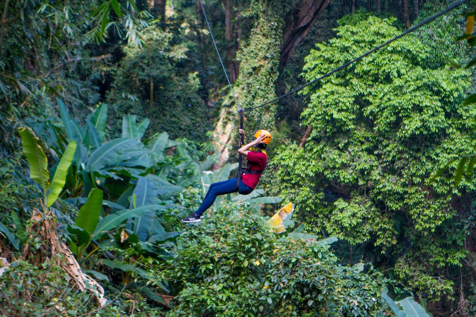 Ziplining at Flight of Gibbon, Chiang Mai