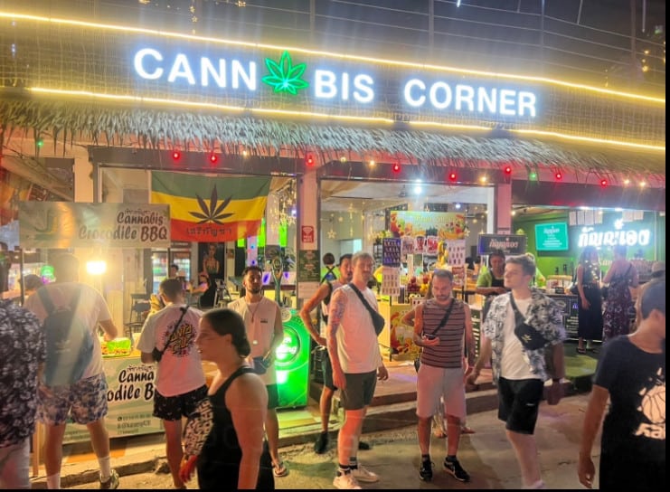 The Cannabis Store in Koh Phangan
