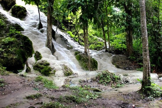 Limestone deposit at the Sticky Waterfall