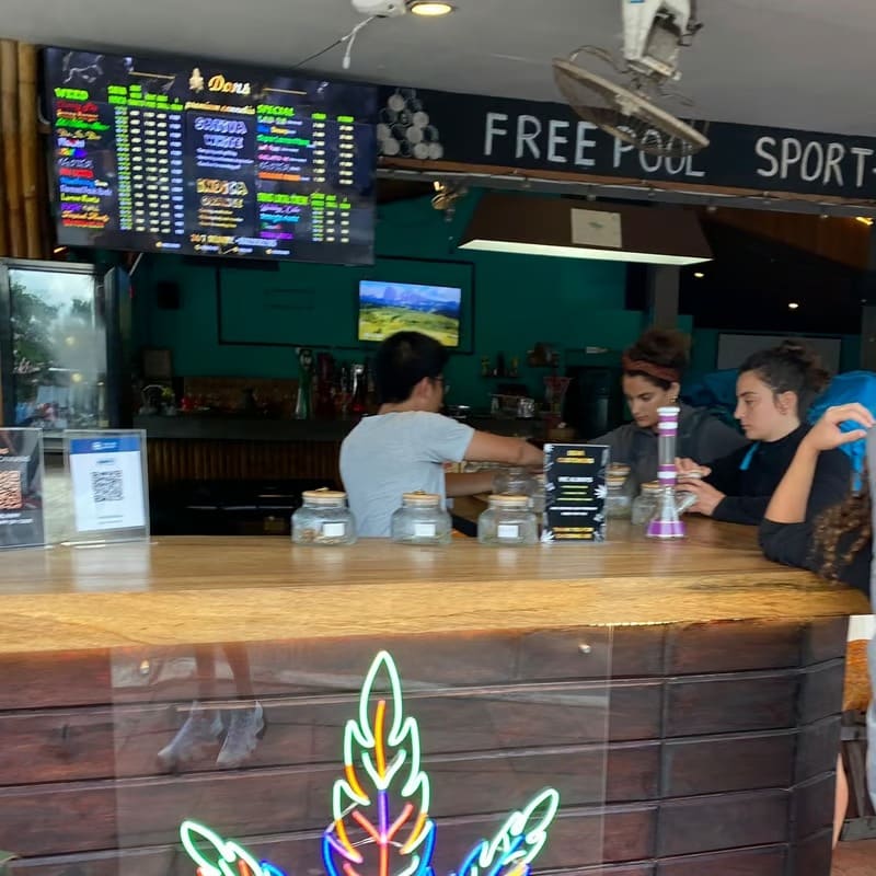 DONS Professional Cannabis Shop DONS Professional Cannabis Shop