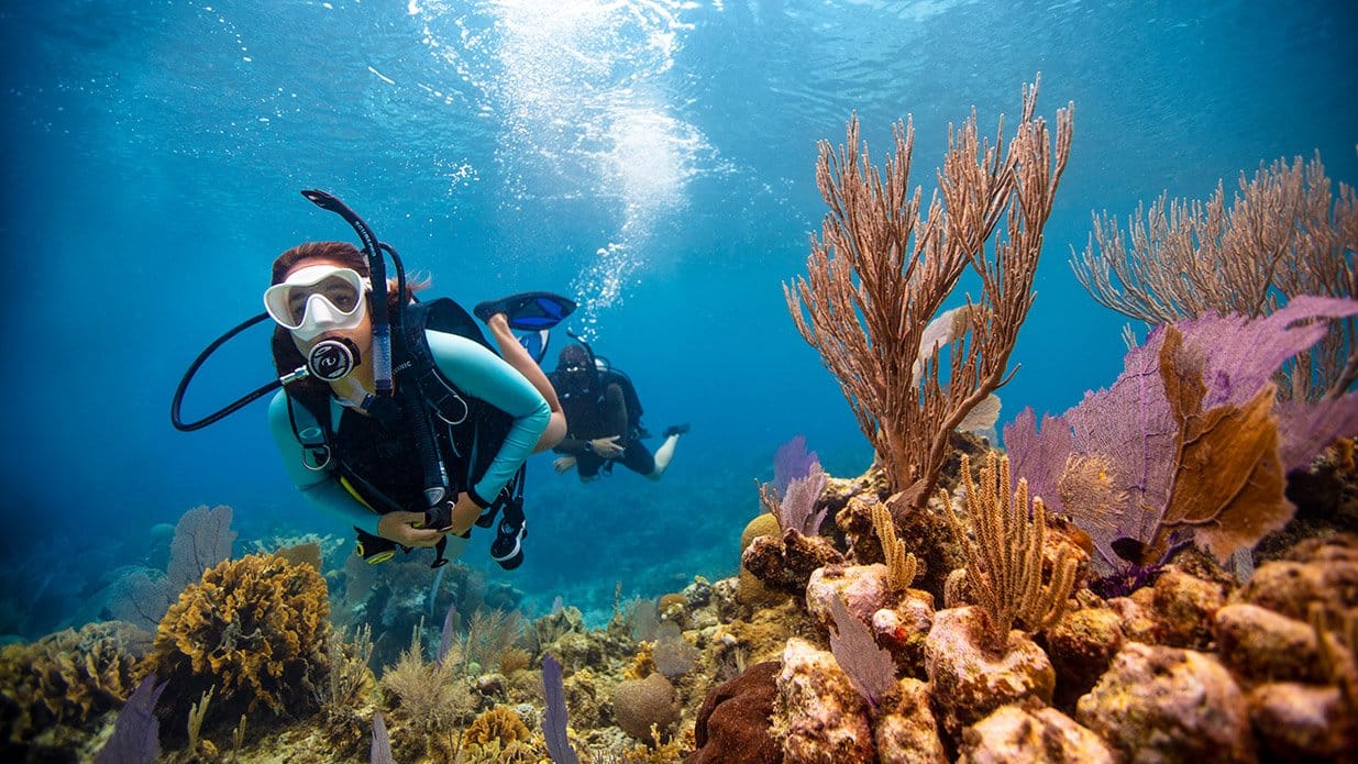 Diving Courses An Overview