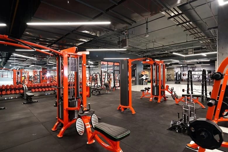 Fitwhey Gym