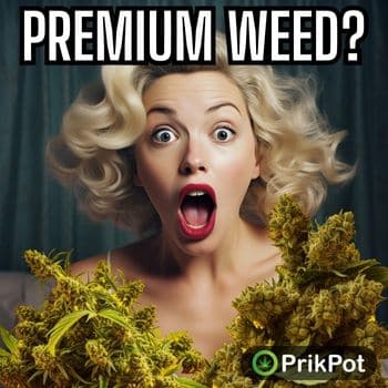 Prikpot Online Cannabis Store