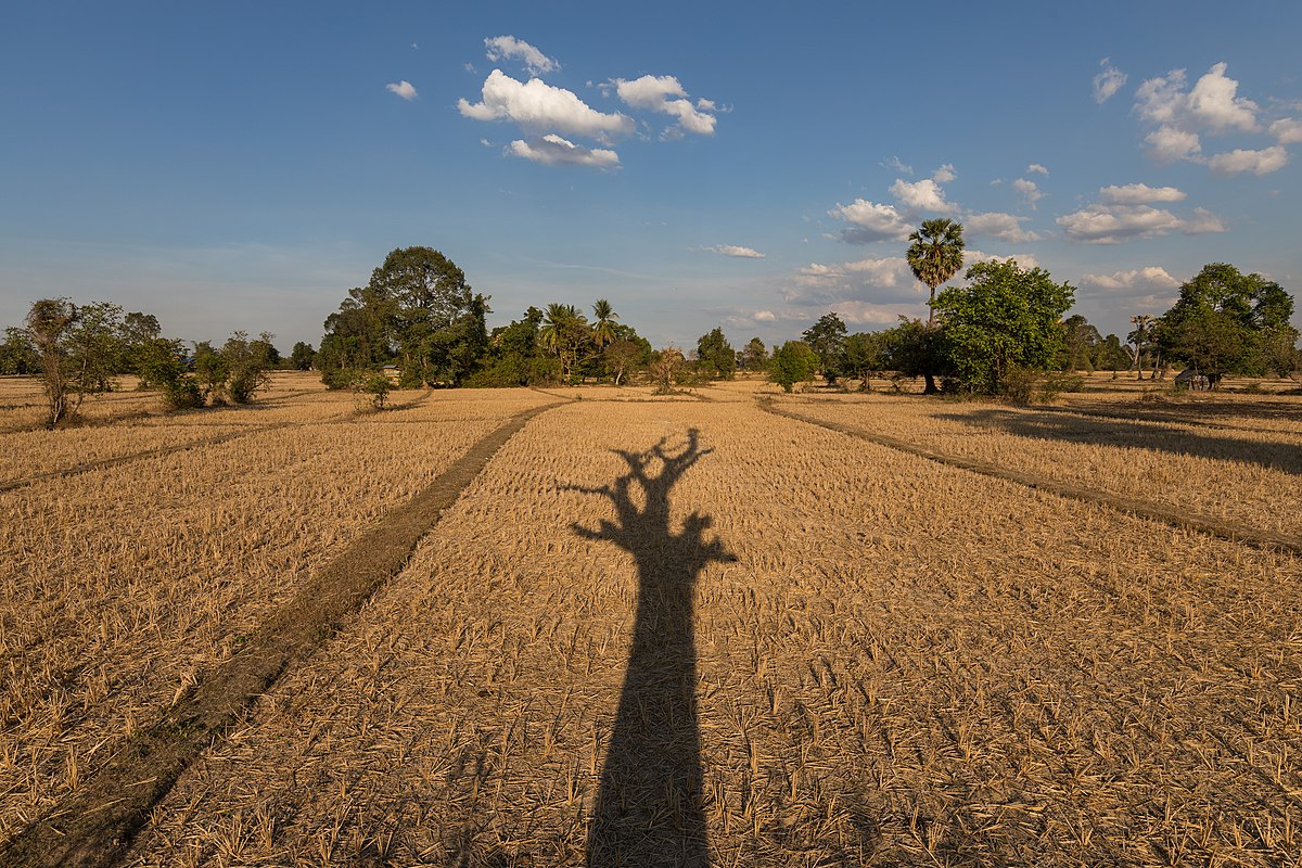 Hot and Dry Season February to May
