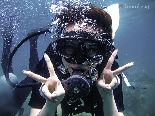 Lotus Diving