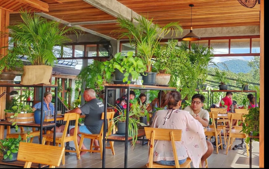 Greenery at the Mojo Cafe and Bistro in Koh Lipe