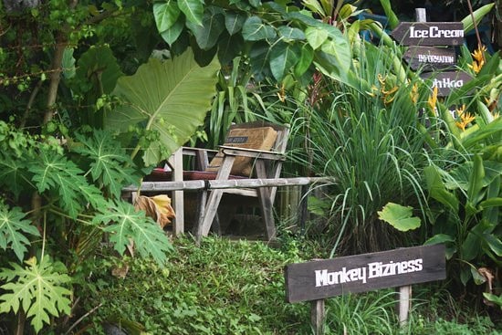 Monkey Bizziness, Koh Lanta The Monkey Bizziness Cafe in Koh Lanta