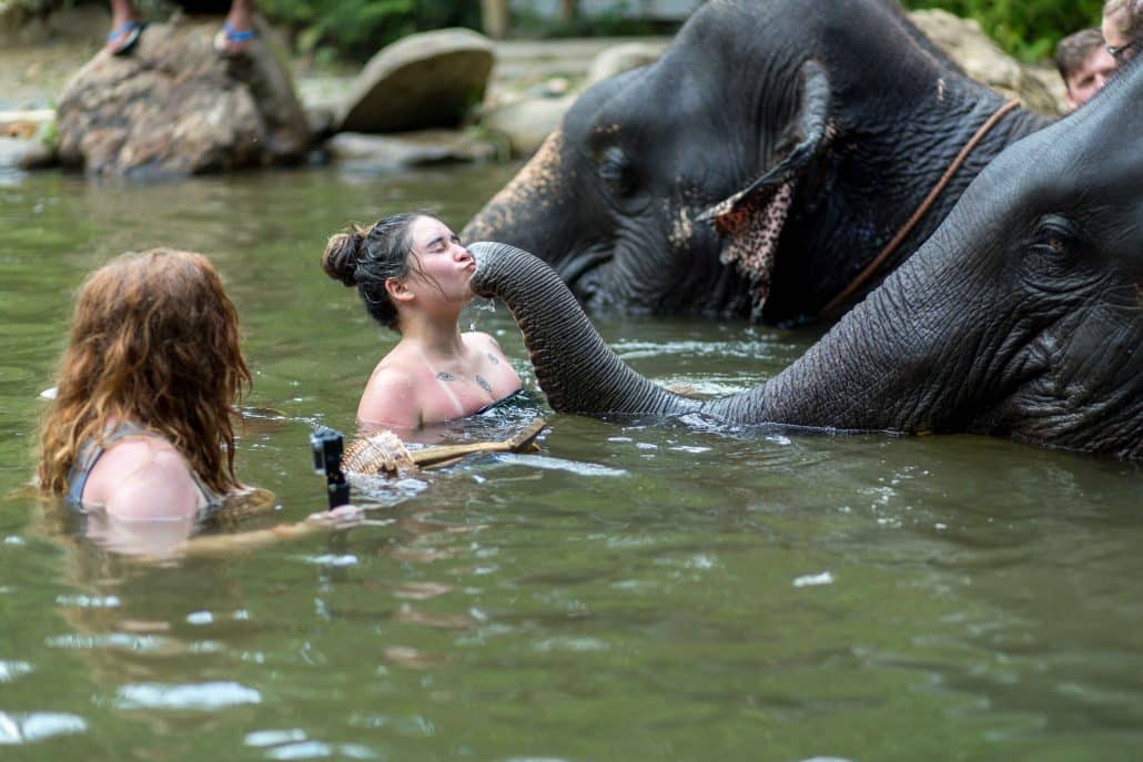 two girls playing with elephant in Phang Nga elephant park