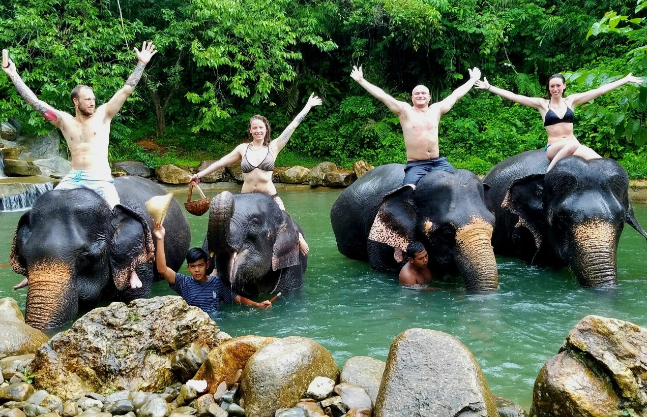 Phang Nga Elephant Park