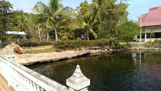 A pond at Wat Bor Phai, Hua Hin