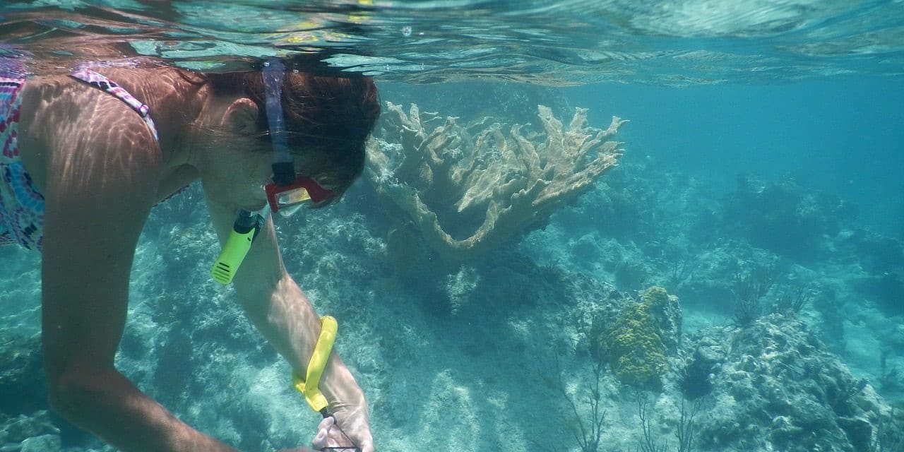 Snorkelling in Koh Phangan