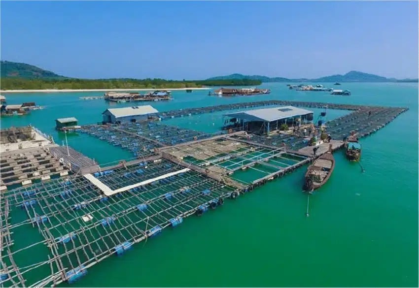 The Pearl Farm and Shop