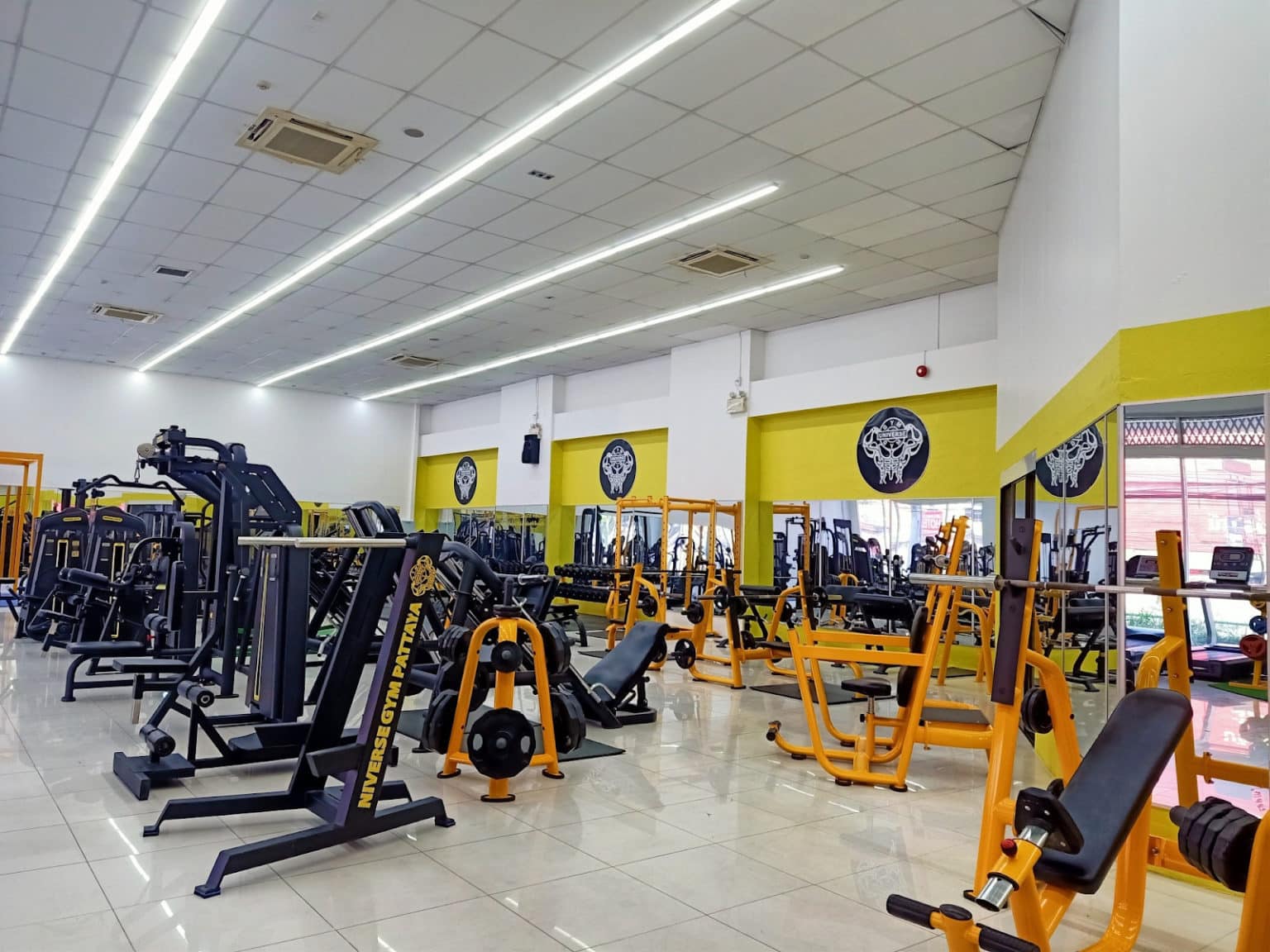 Best Gyms in Pattaya 2023 Update
