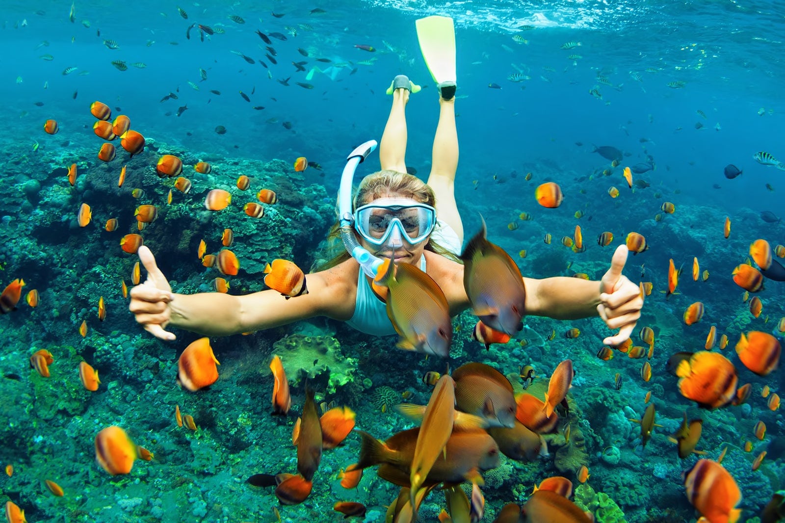 Snorkeling in Hin Ngam, Koh Lipe