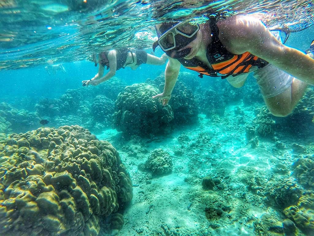 Visitors enjoying snorkeling on Kantiang Beach