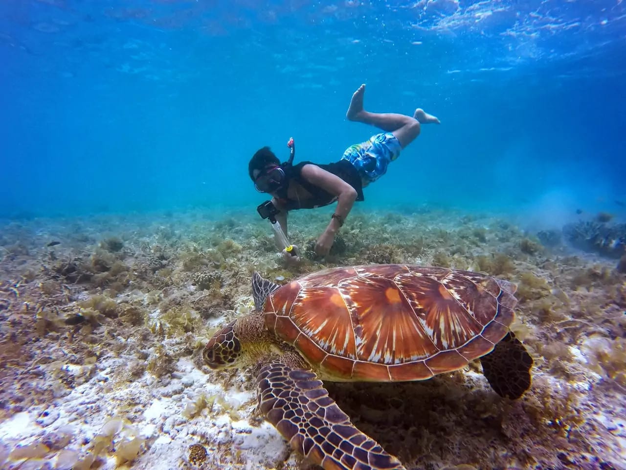 A traveler enjoying snorkeling on Klong Jark Beach