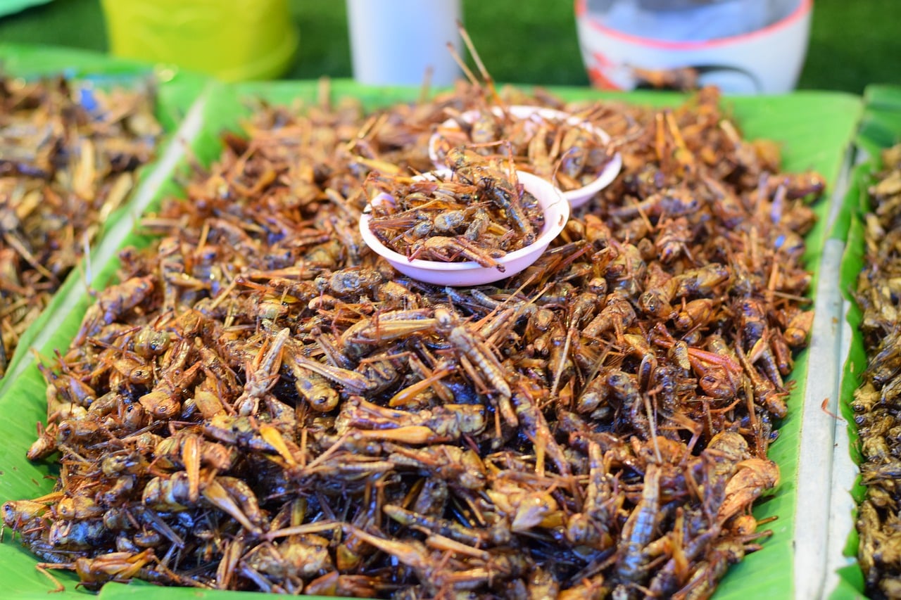 Deep Fried Crickets at Naka Weekend Market in Phuket