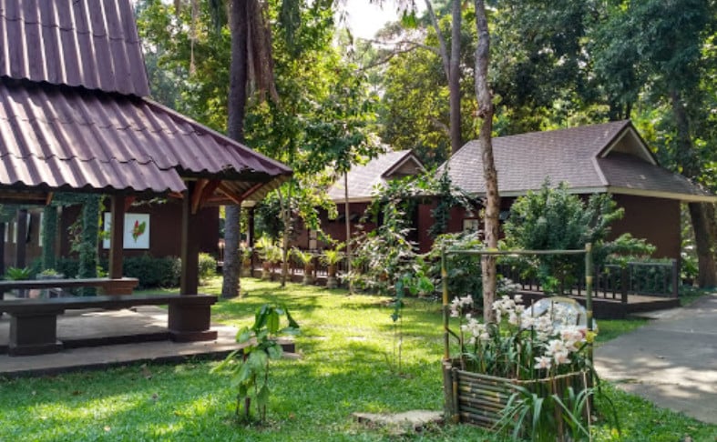 The Huay Kaew Arboretum in Chiang Mai