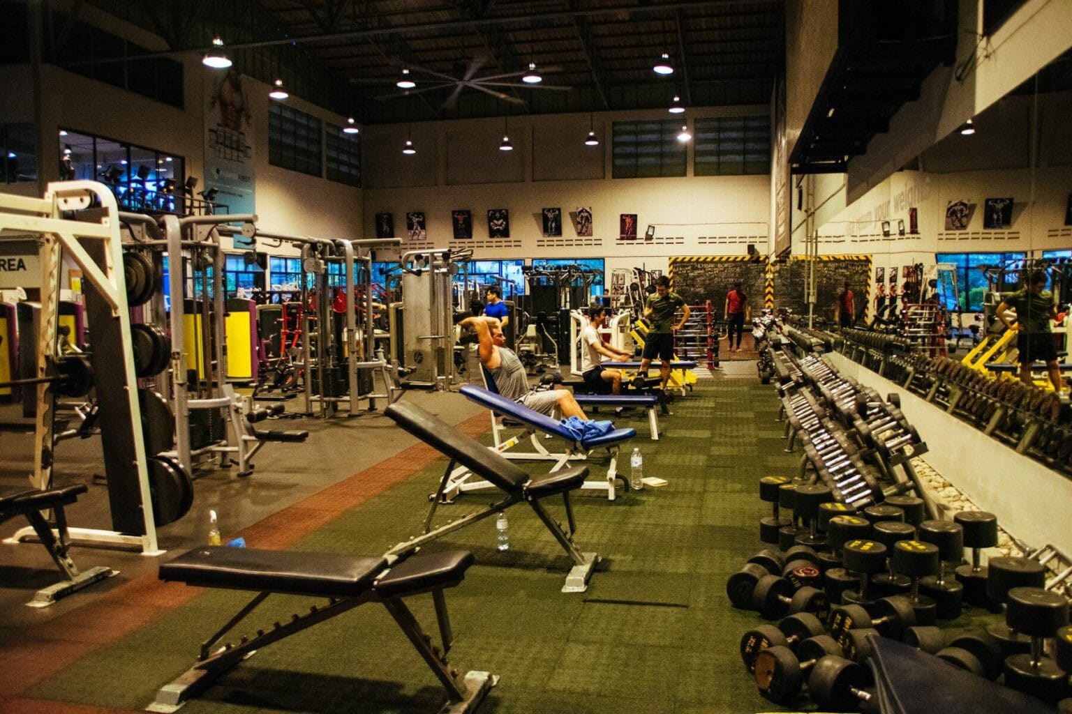 The Muscle Factory Gym in  Bangkok