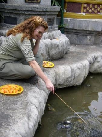 A visitor feeding baby turtle