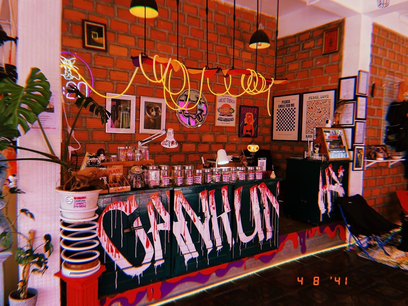 Inside the Cankuna Matata 88 Cannabis Shop Cankuna Matata 88