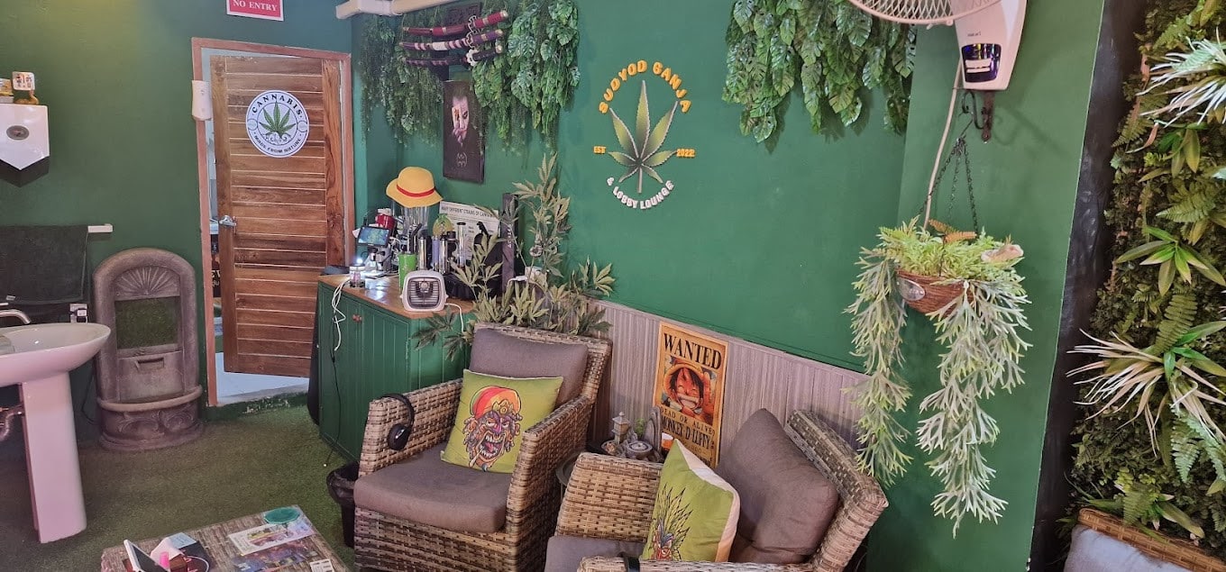 The Green Walls of Sudyog Ganja and Lobby Lounge Sudyog Ganja and Lobby Lounge