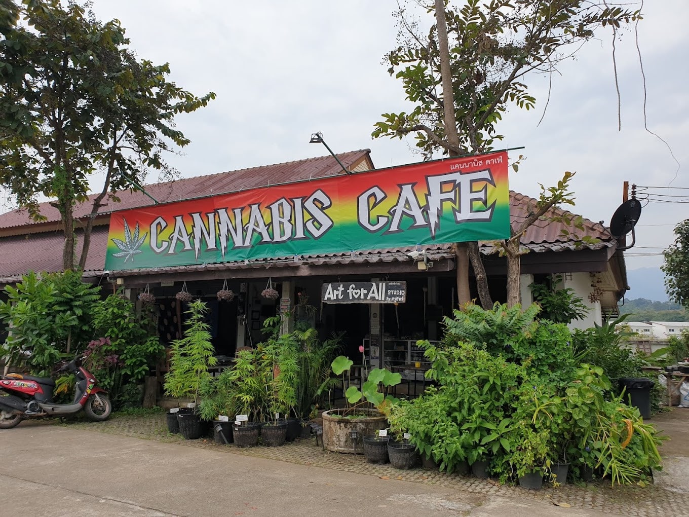 The Serene Location of Cannabis Cafe Cannabis Cafe, Pai