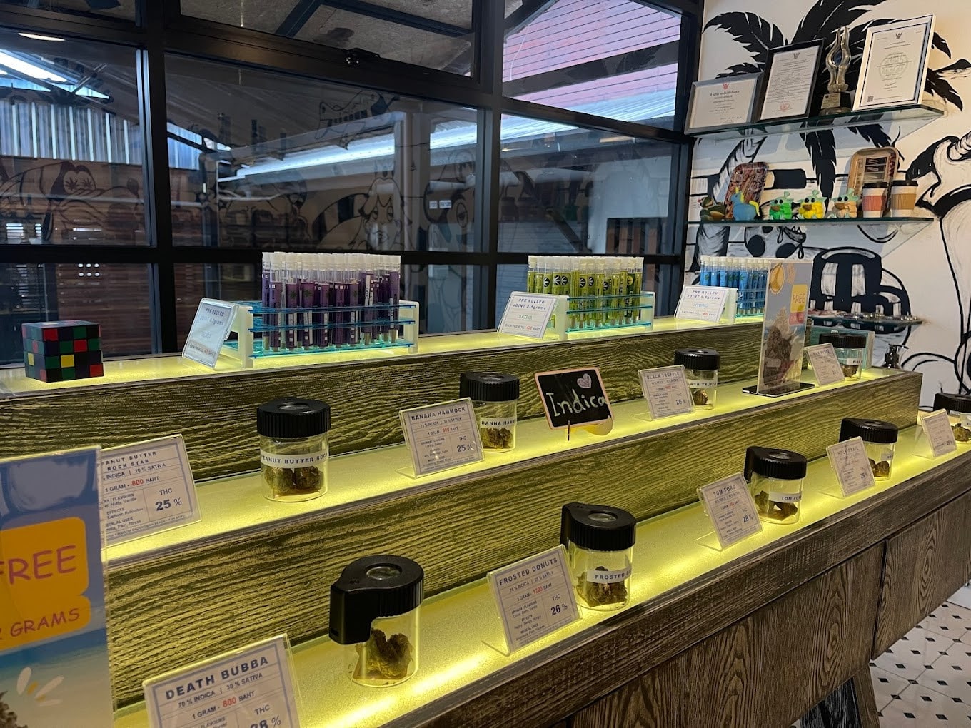 Top-Quality Cannabis at Cannabis Kingdom Cannabis Kingdom, Koh Samui